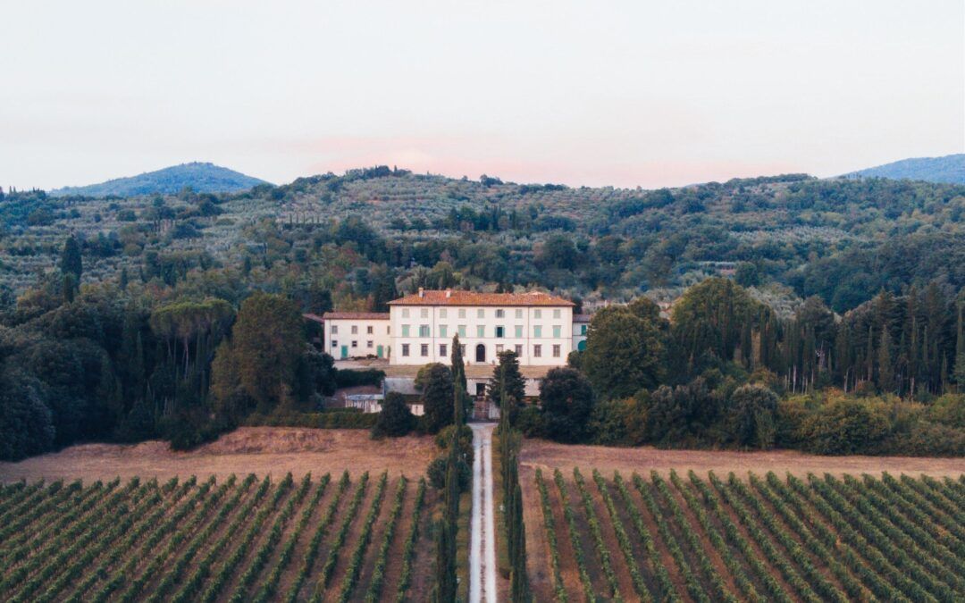 Photo of vineyard fields Tuscany