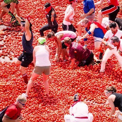 La Tomatina Fiesta
