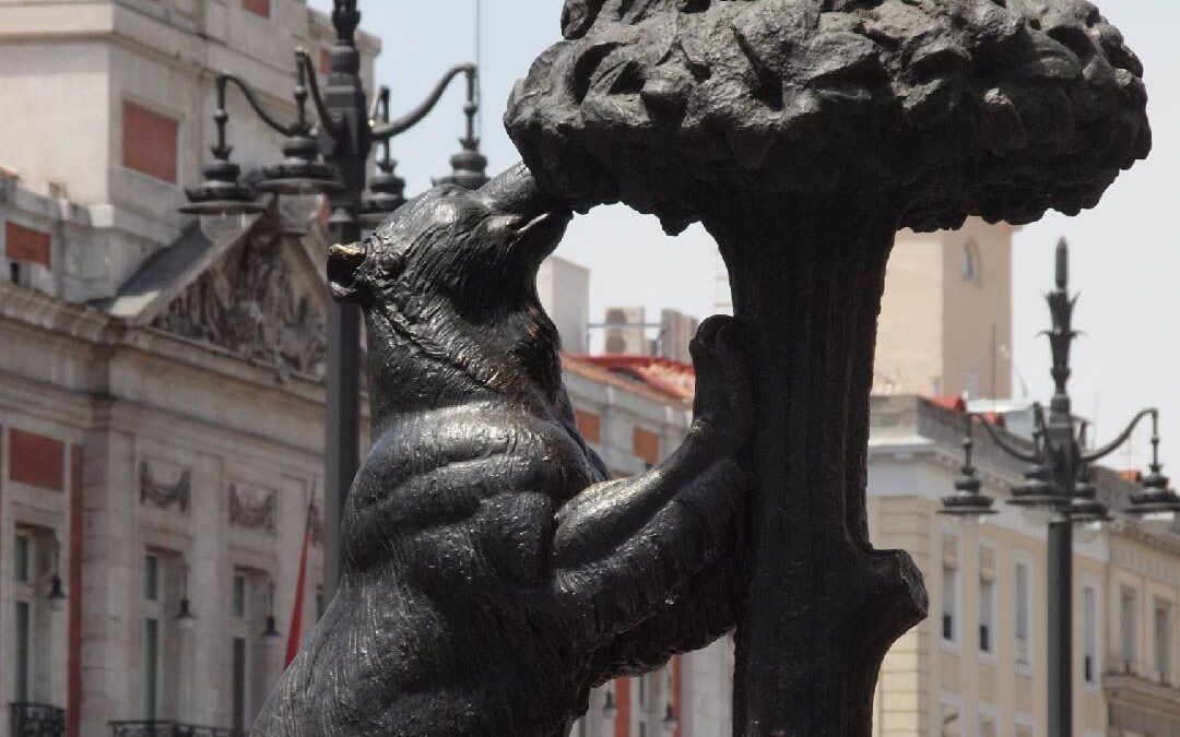 España Madrid Osa